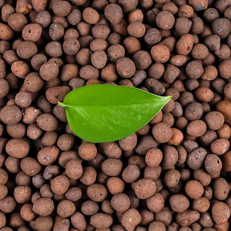 Clay Pebble Growing - Ciottoli di argilla idroponica riutilizzabili da