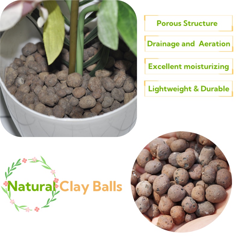 Clay Pebble Growing - Palline di Argilla Organica 2L/1L, Substrato
