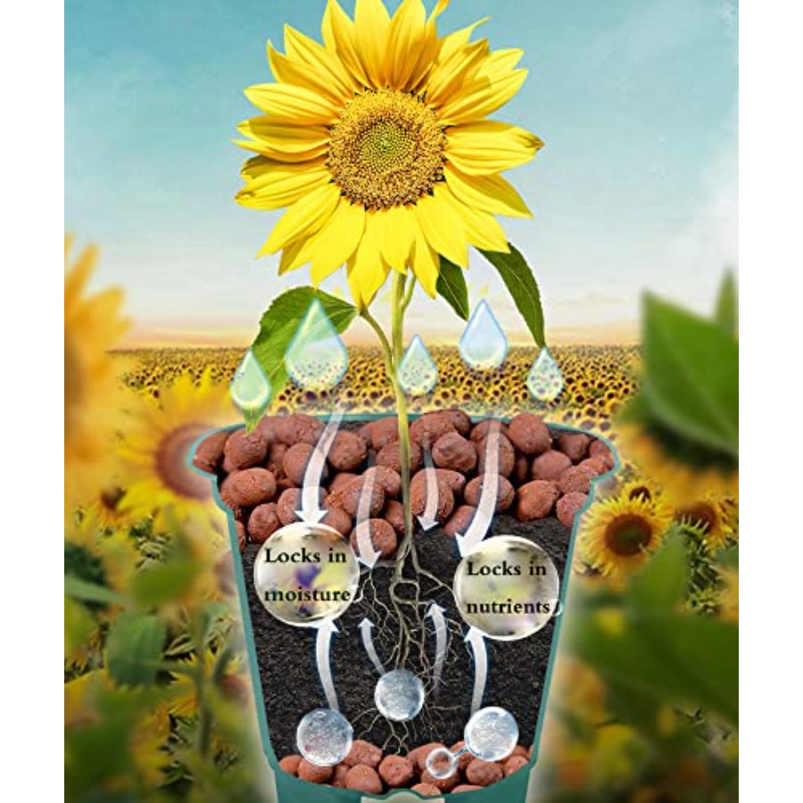 Voulosimi Pietre di Argilla Id - Clay Pebble Growing recensione e prezzo