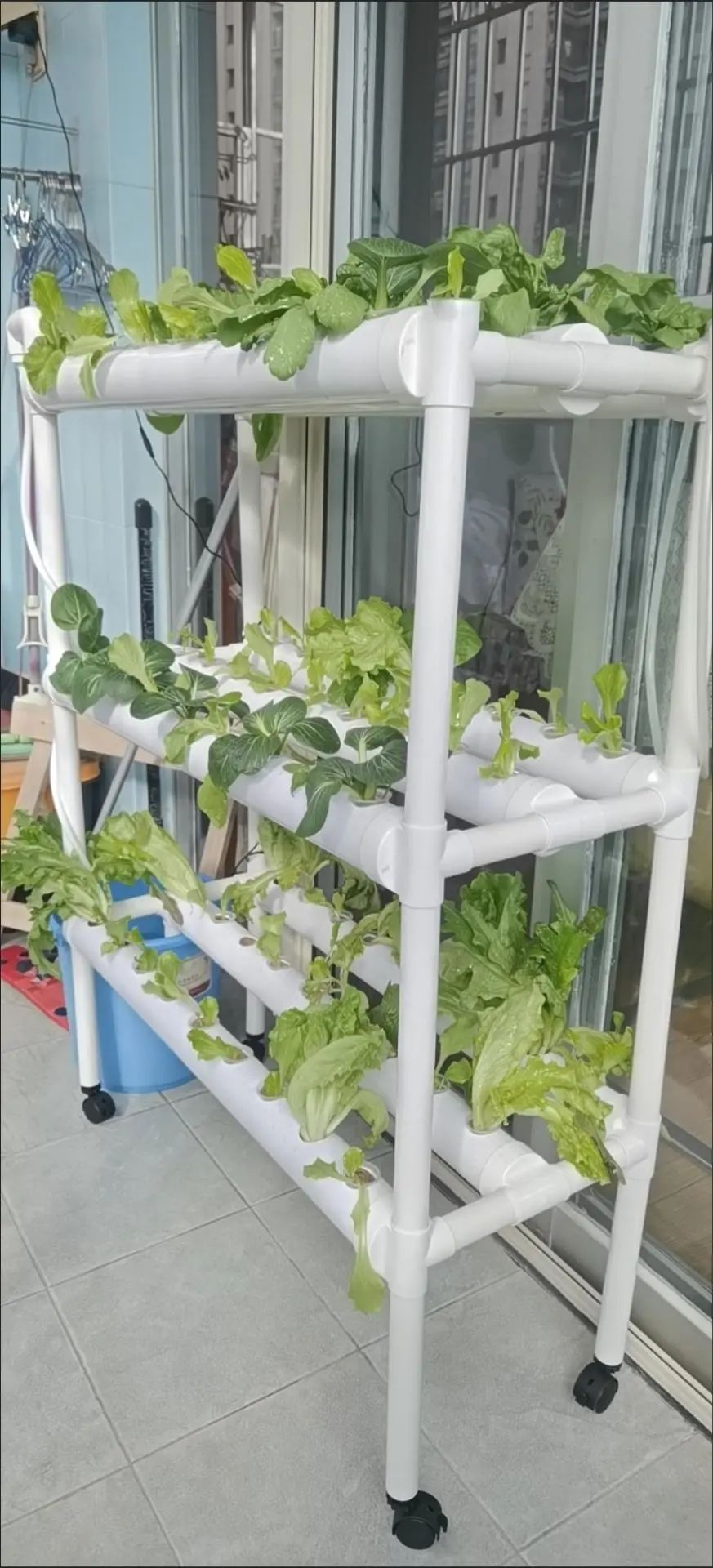Cina Grow Tent Piante da inter - Grow Tent 4X4 recensione e prezzo