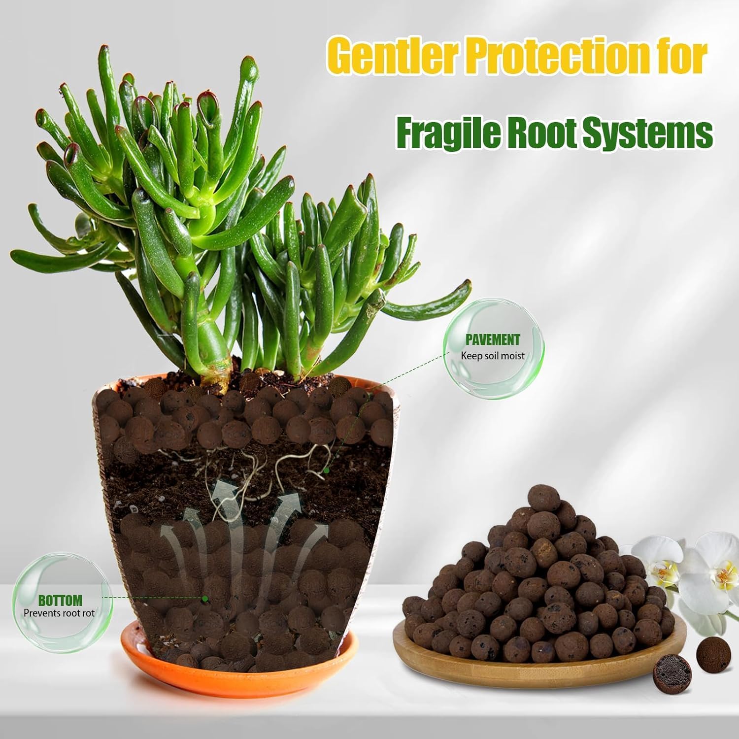 Palline di Argilla Organica 2L - Clay Pebble Growing recensione e prezzo