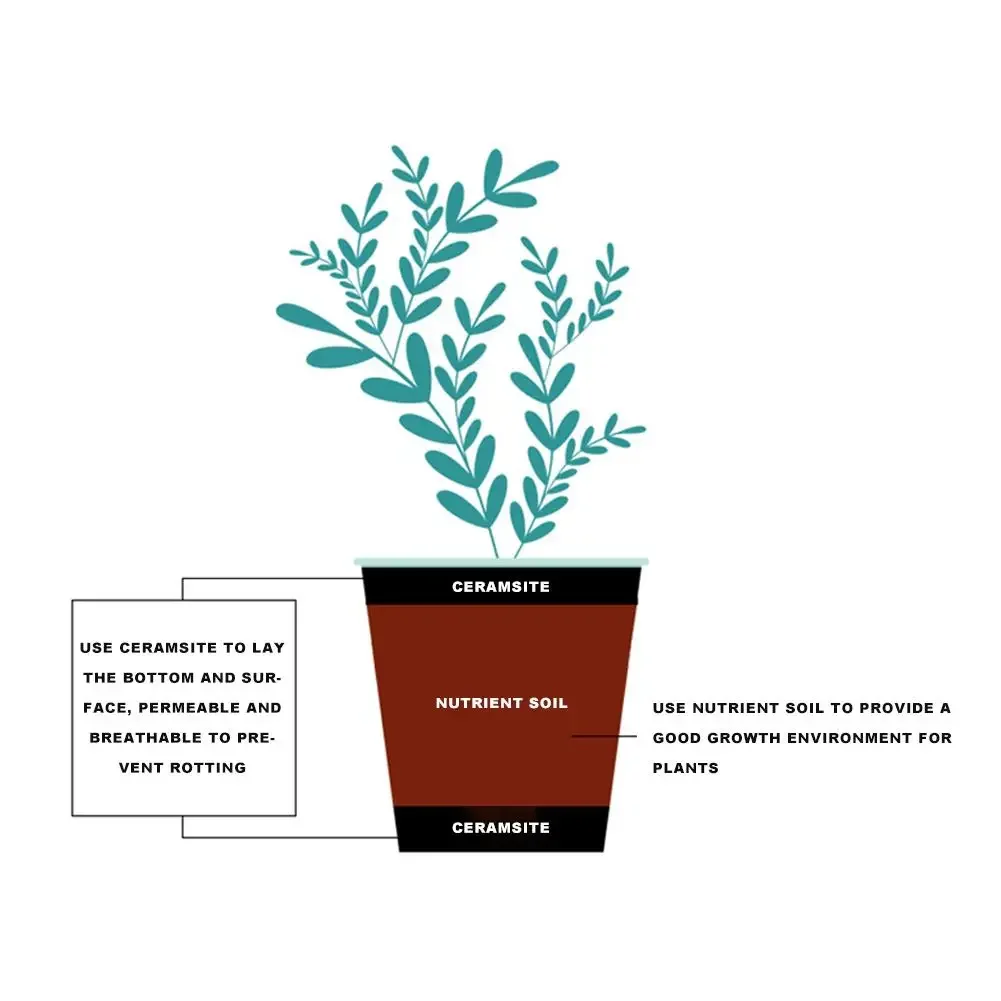 Ciotole di argilla naturale es - Clay Pebble Growing recensione e prezzo