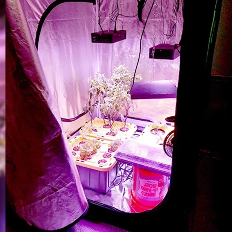 Nuova Tendenza: Tenda per Colt - Grow Tent 4X4 recensione e prezzo