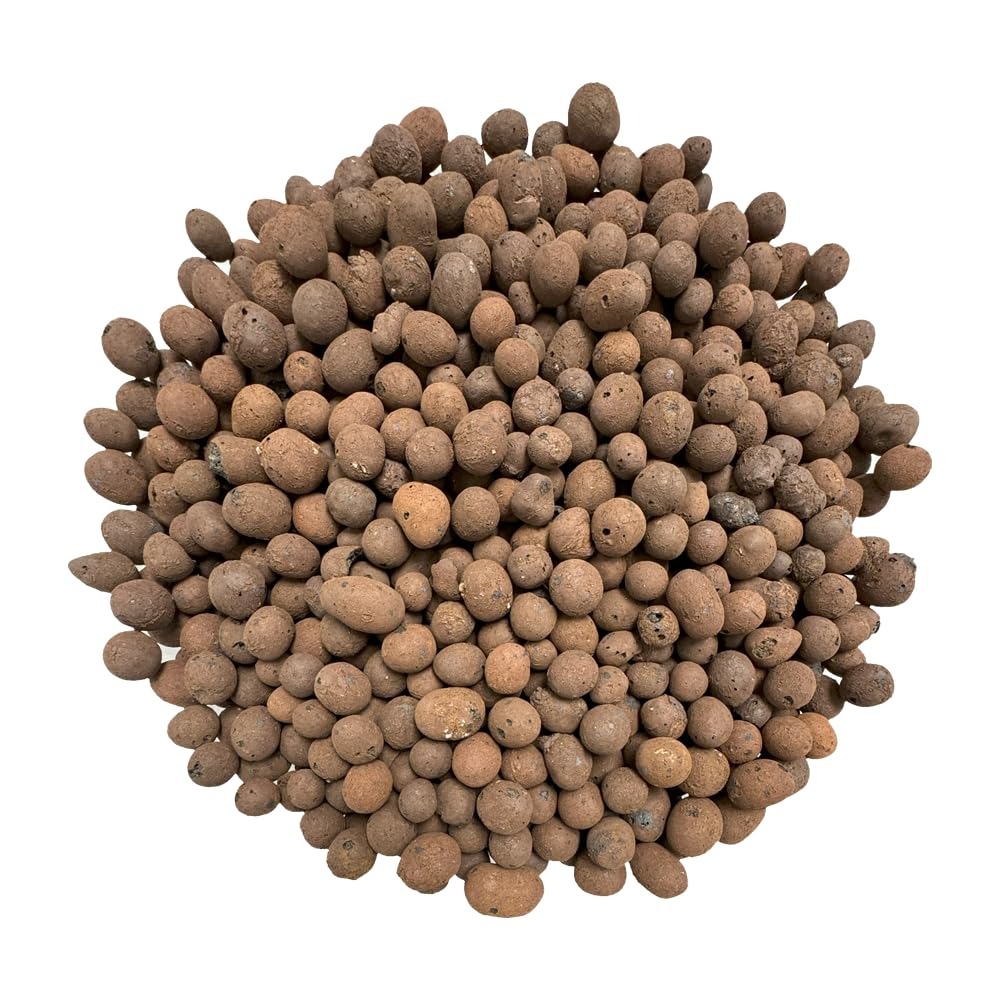 Argilla Espansa per Idroponica - Clay Pebble Growing recensione e prezzo
