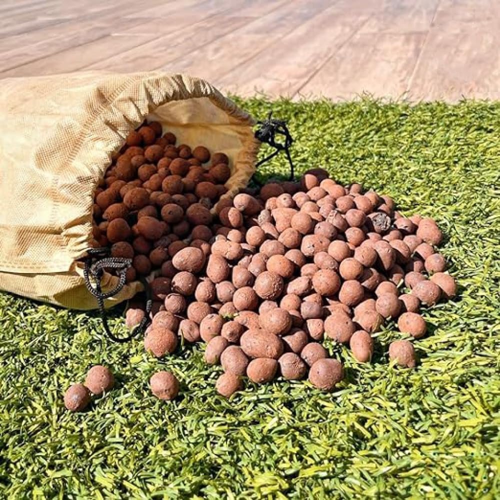 Argilla Espansa per Idroponica - Clay Pebble Growing recensione e prezzo