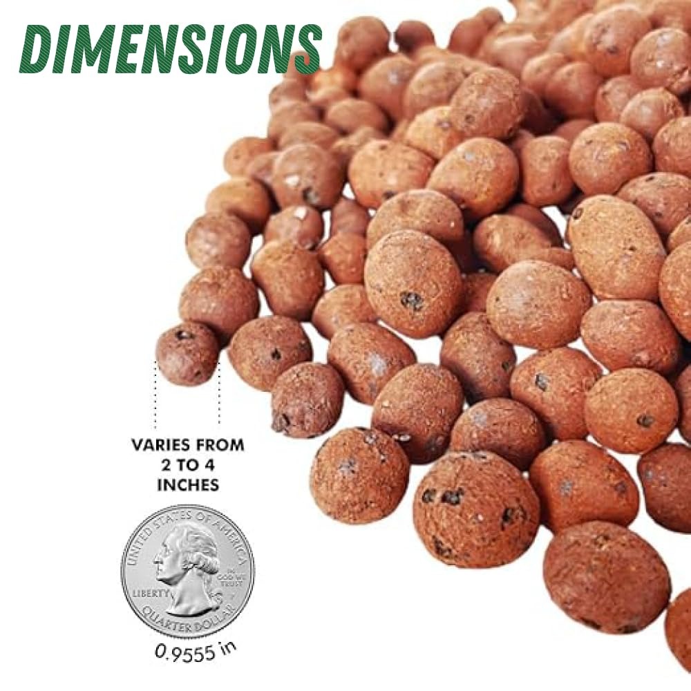 Argilla Espansa per Idroponica - Clay Pebble Growing recensione e prezzo