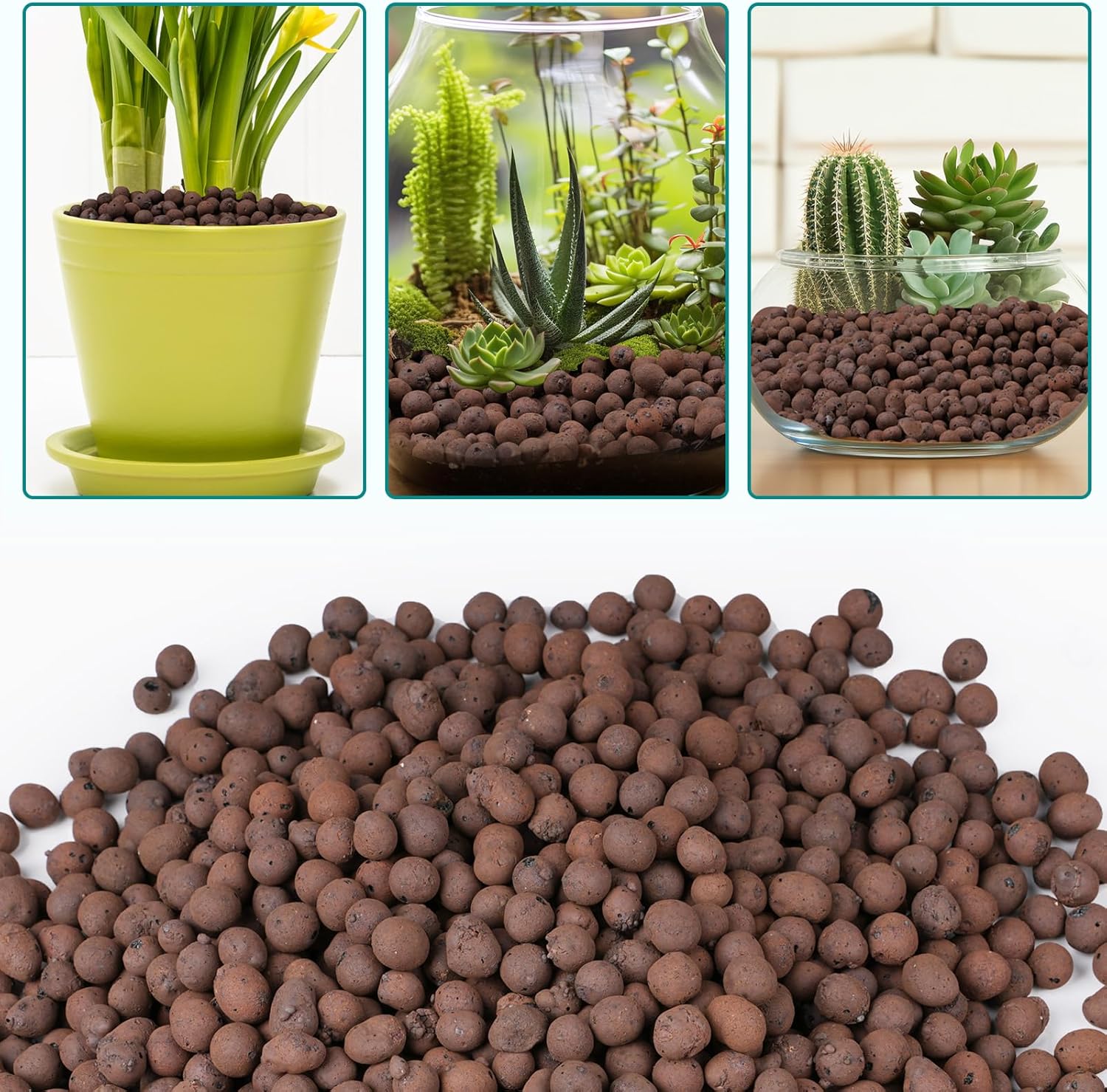 Argilla in granuli da 100/200g - Clay Pebble Growing recensione e prezzo
