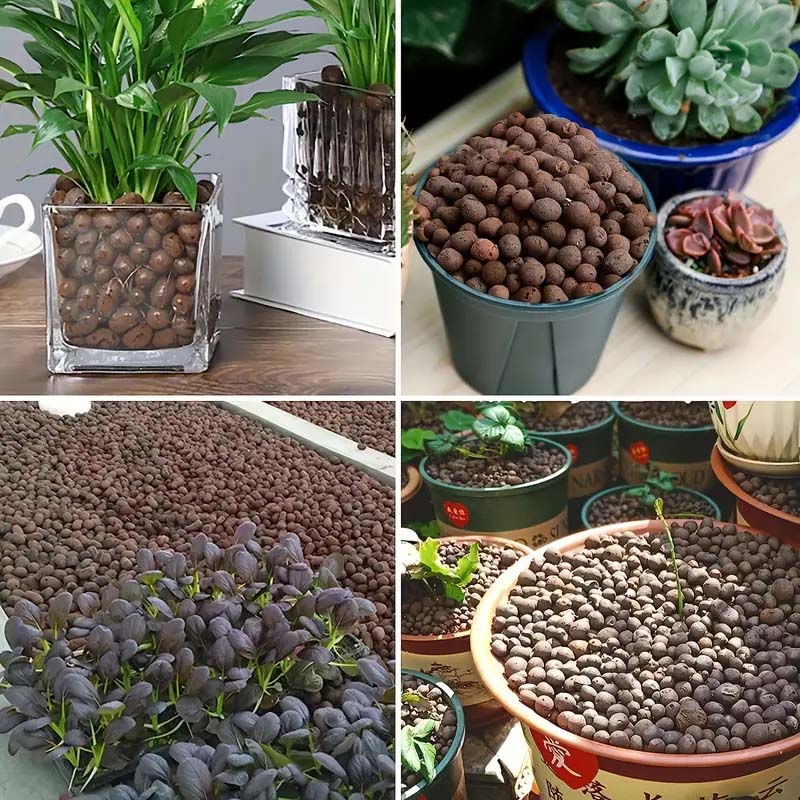 Argilla in granuli da 100/200g - Clay Pebble Growing recensione e prezzo