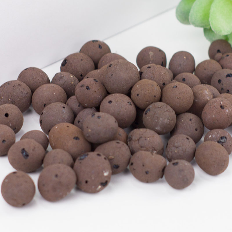 500g ciottoli di argilla di ce - Clay Pebble Growing recensione e prezzo