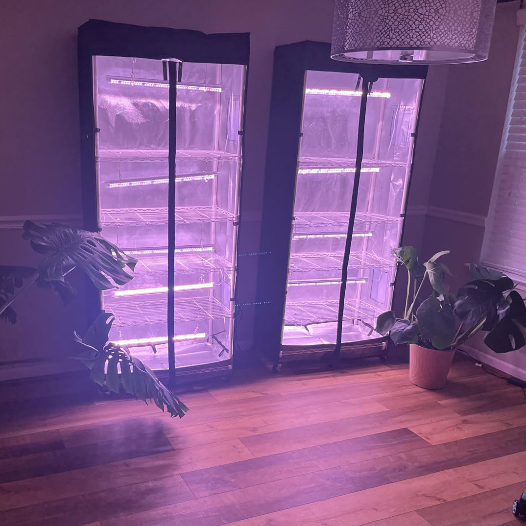 Tenda mobile per la coltivazio - Grow Tent 4X4 recensione e prezzo