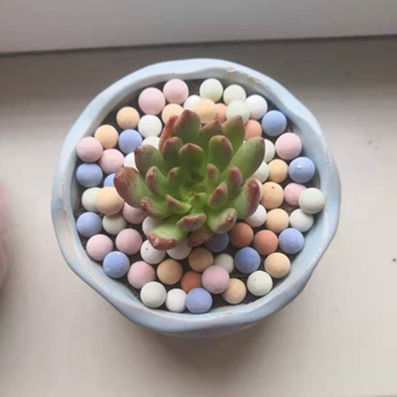 Ciottoli di argilla espansa in - Clay Pebble Growing recensione e prezzo